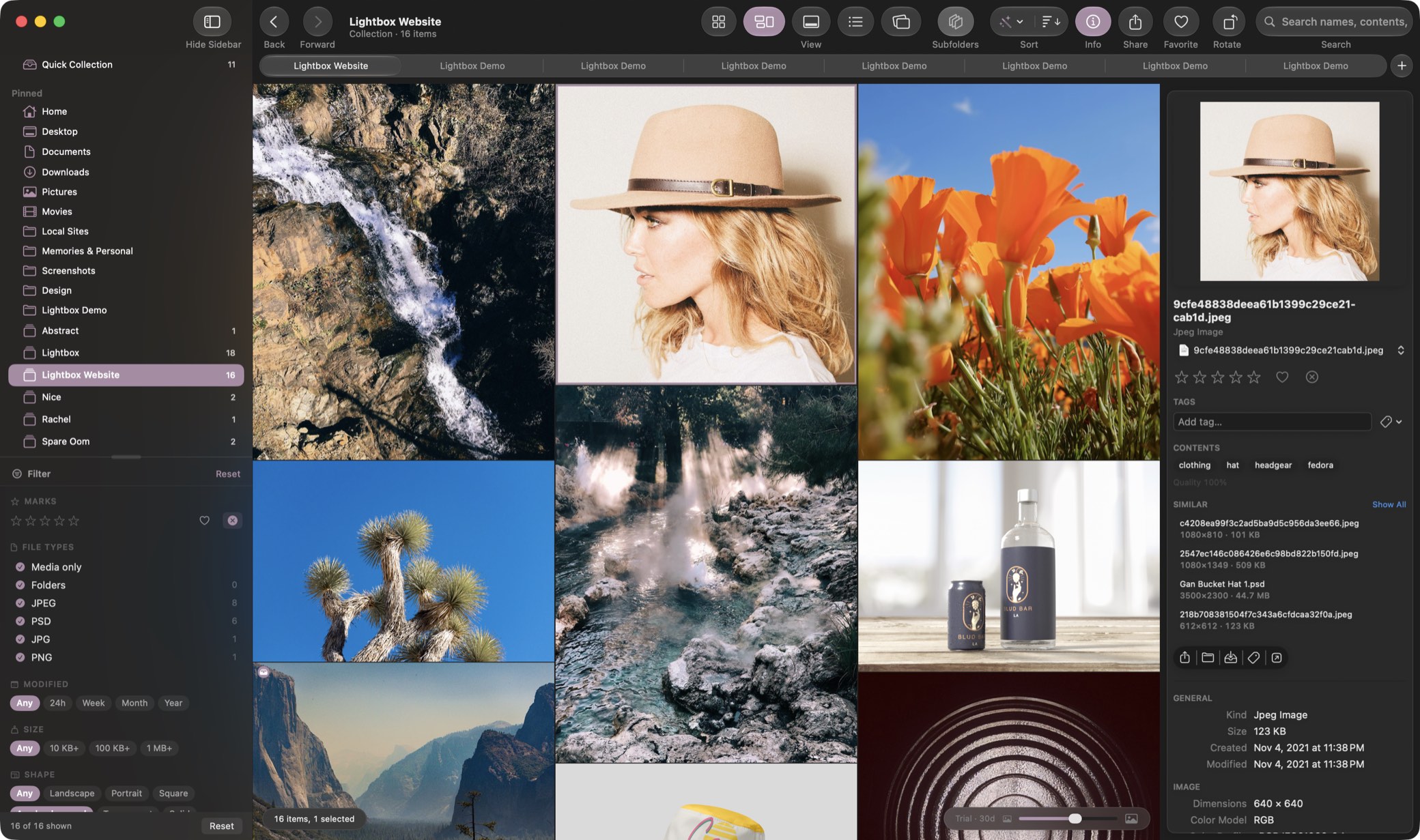 Illigata showing a collection in masonry view — photographs at their own aspect ratios, edge to edge — with the Info pane open on one of them: its tags, the contents the Mac recognised in it, and the similar images it found